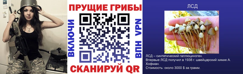 Псилоцибиновые грибы мухоморы  Купить закладки  Трубчевск 